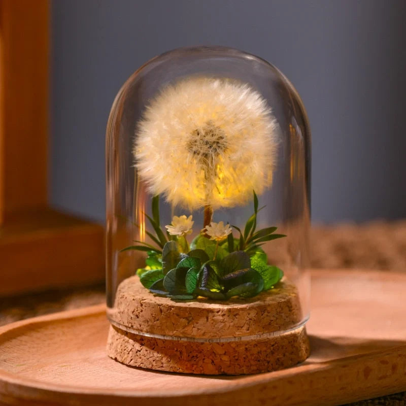 EternaBloom™ Nachtlicht mit getrockneten Blumen unter Glaskuppel