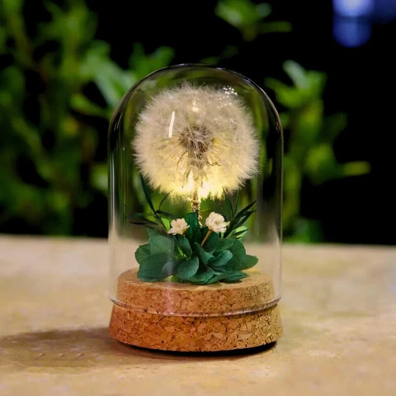 EternaBloom™ Nachtlicht mit getrockneten Blumen unter Glaskuppel