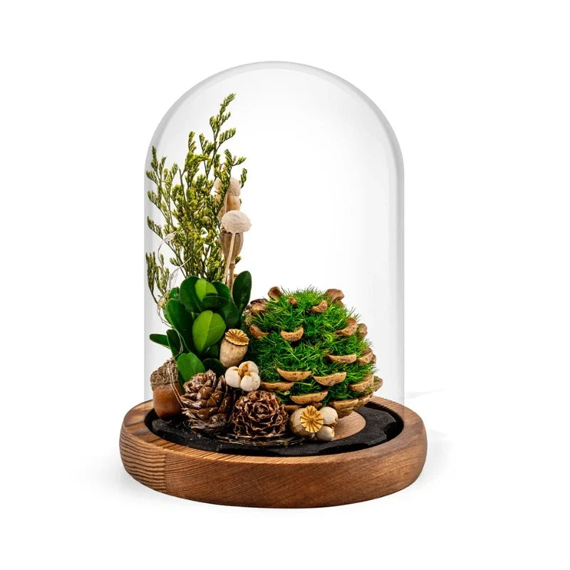 EternaBloom™ Nachtlicht mit getrockneten Blumen unter Glaskuppel