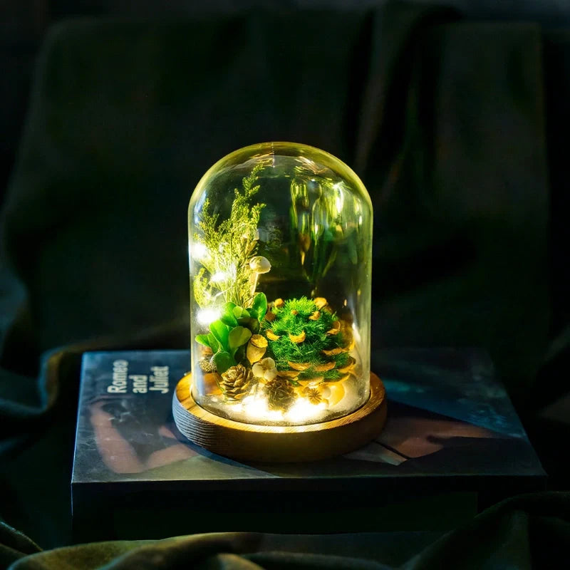EternaBloom™ Nachtlicht mit getrockneten Blumen unter Glaskuppel