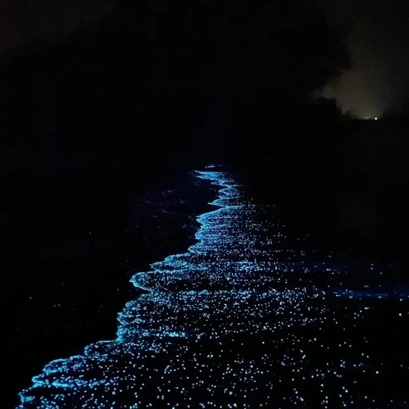 GlowPebbles™ Leuchtsteine für Garten, Aquarium und Dekoration