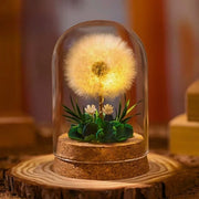 EternaBloom™ Nachtlicht mit getrockneten Blumen unter Glaskuppel