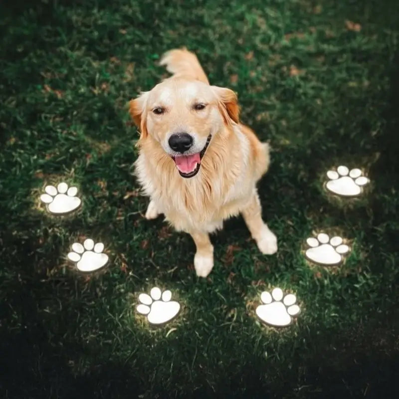 PawGlow™ Solar-Gartenleuchte mit Pfotenabdruck, warmweiß