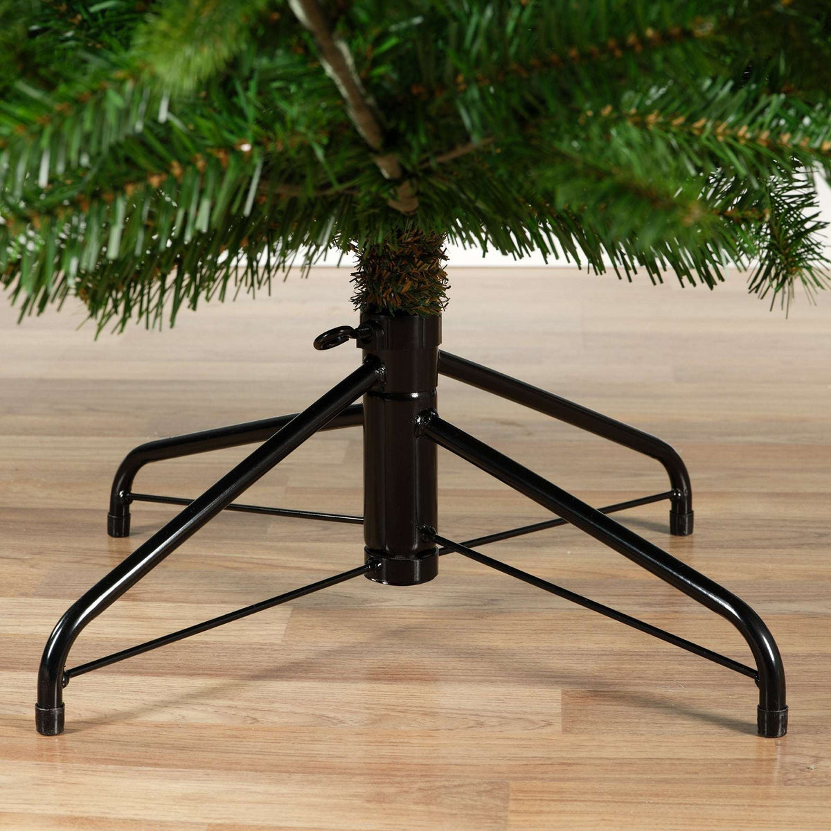 Premium Nordmanntanne – 180 cm