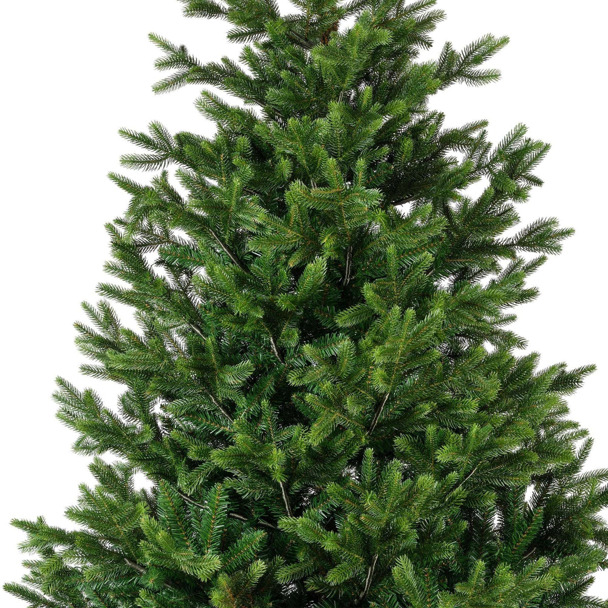 Premium Nordmanntanne – 240 cm