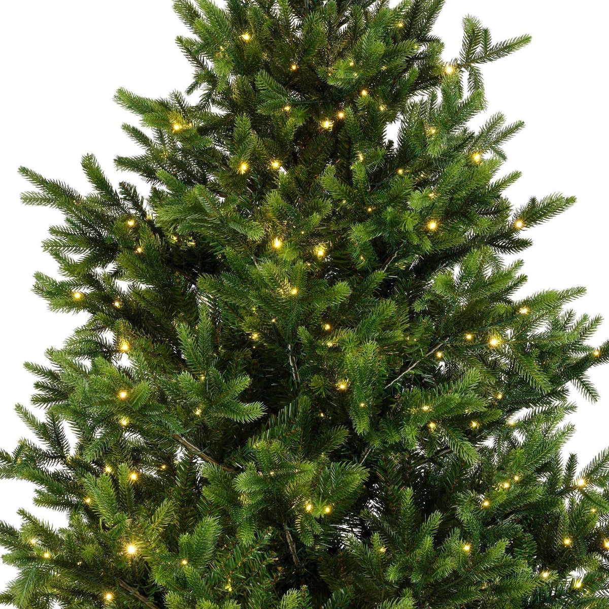 Premium Nordmanntanne mit warmweißer Beleuchtung – 240 cm