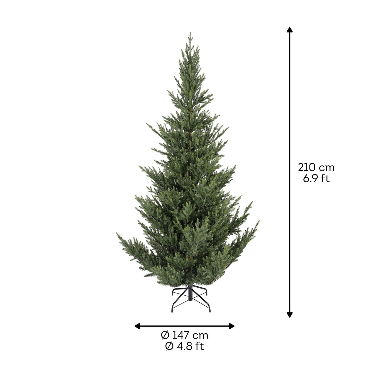Premium Norway Tanne – 210 cm