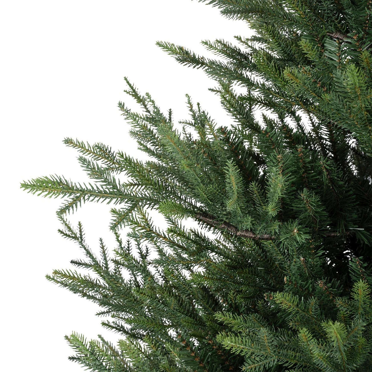 Premium Norway Tanne – 210 cm