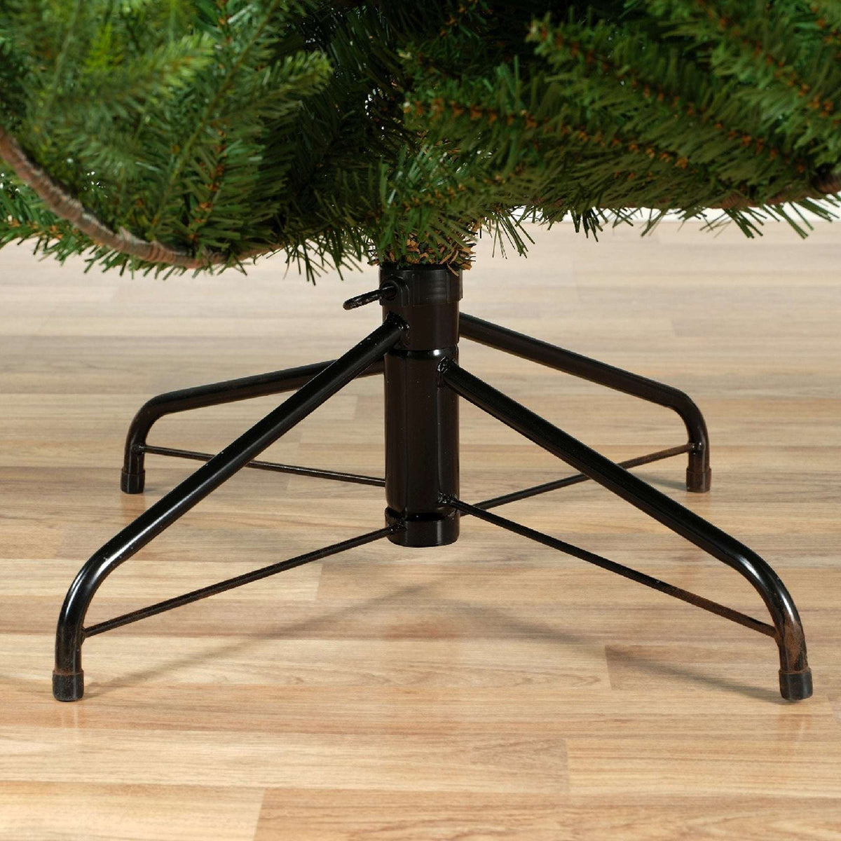 Premium Norway Tanne – 240 cm