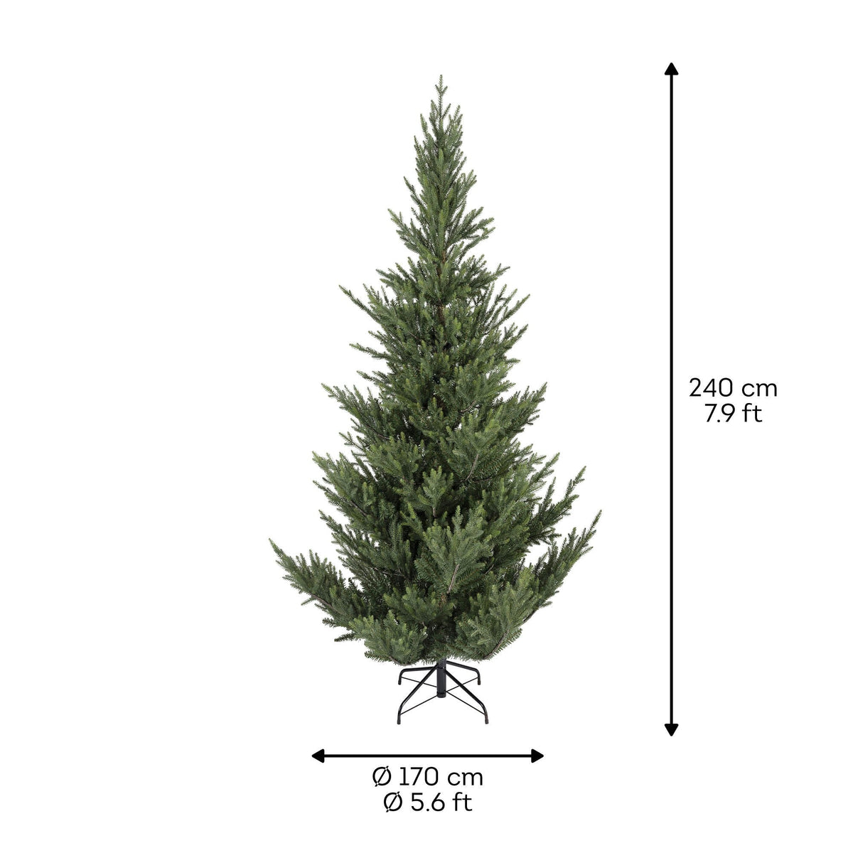 Premium Norway Tanne – 240 cm