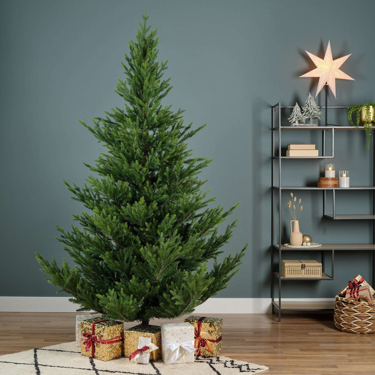 Premium Norway Tanne – 240 cm