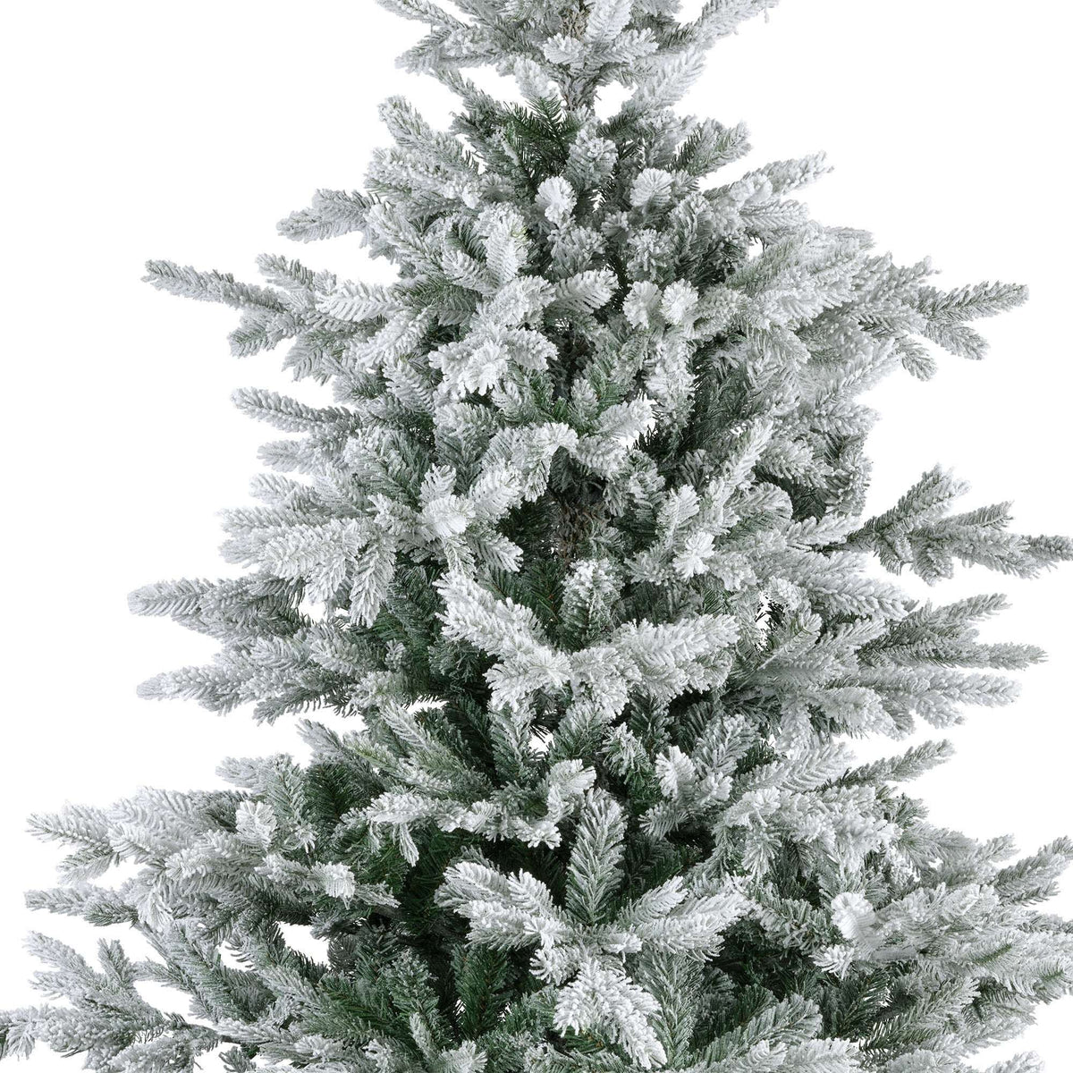 Premium Tanne „Grandis Fir“ verschneit – 180 cm