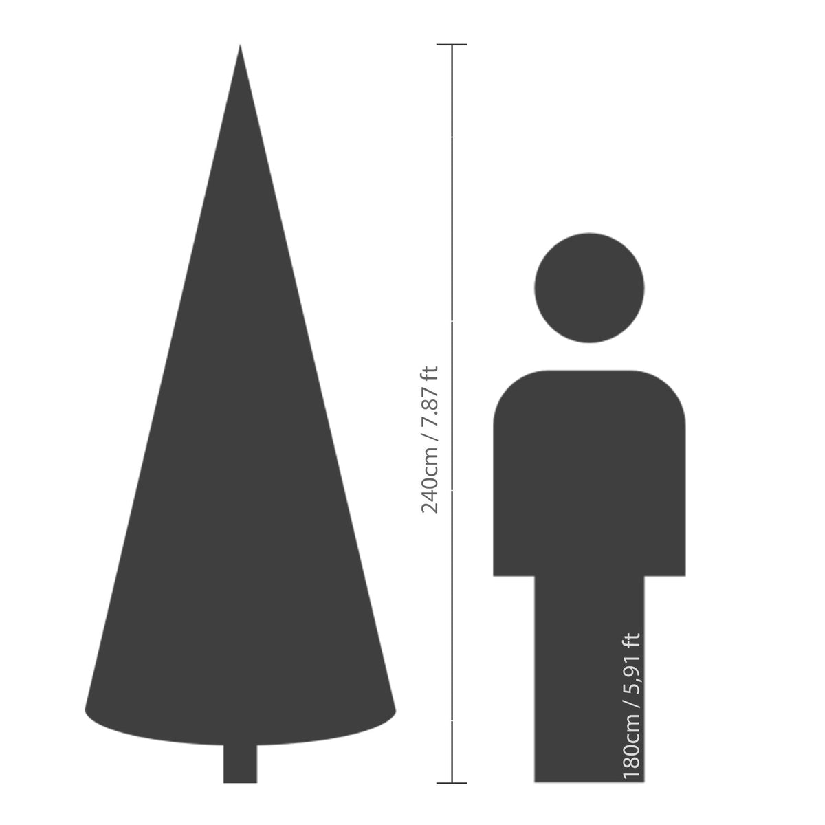 Premium Tanne „Grandis Fir“ verschneit – 240 cm