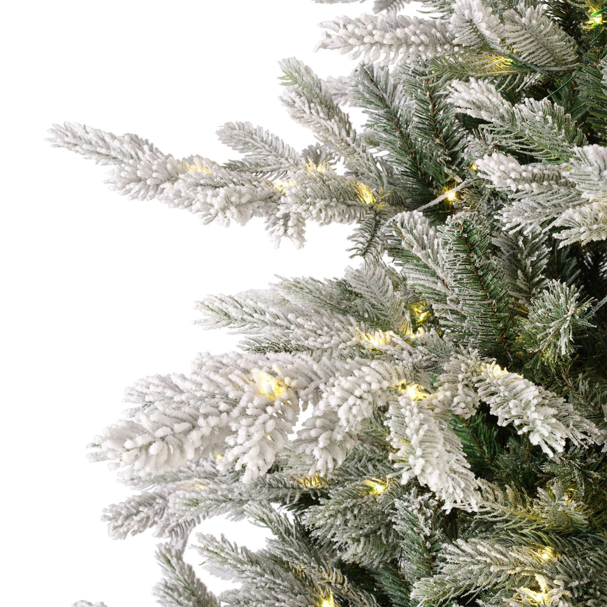 Premium Tanne „Grandis Fir“ verschneit mit warmweißer Beleuchtung – 240 cm