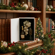 Proseccoglas-Baumschmuck Geschenkedition 4-tlg.
