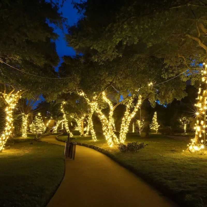 Solarbetriebene Feen-Lichterkette für Garten und Terrasse